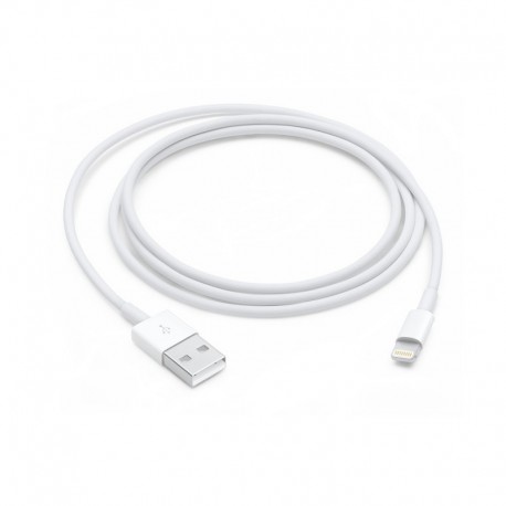 APPLE - Lightning To USB Cable 1 M - 0190199534865