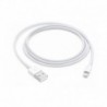 APPLE - Lightning To USB Cable 1 M - 0190199534865