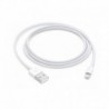 APPLE - Lightning To USB Cable 1 M - 0190199534865