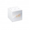 Radio Relogio Sony - ICFC1W - 4905524962048