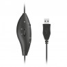 Auriculares Trust Mauro 17591 Con Micrófono Usb Negro - 8713439175912