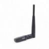 Pen Wireless Gembird Wifi 300Mbps Com Antena - 8716309087117