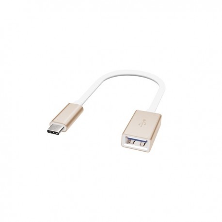 Artwizz Adaptador 3.1 USB-C - USB A F - 4260294118041