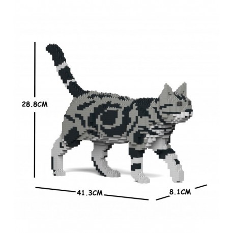 Jekca Cats 1690x American Shorthair 02S-M01 - 4897039890544