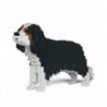 Jekca Dogs 1170x Cavalier King Charles Spaniel 01S-M03 - 4897039894313