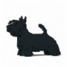 Jekca Dogs 880x Scottish Terrier Black 01S-M01 - 4897039893842