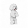 Jekca Dogs 720x Toy Poodle 04S-M01 - 4897039898113