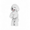 Jekca Dogs 720x Toy Poodle 04S-M01 - 4897039898113