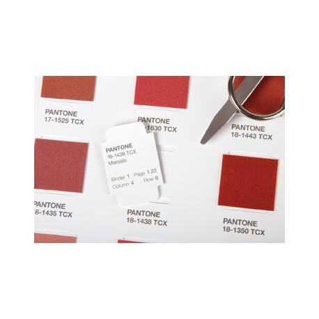 Pantone PANTONE fashion+home cotton chip set - 0849572004920