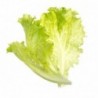 Tregren Sementes 4x - Lettuce mix - 6430058280880