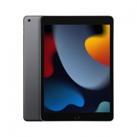APPLE IPad 10.2-inch Wi-Fi 256GB - Space Grey - 0194252516560