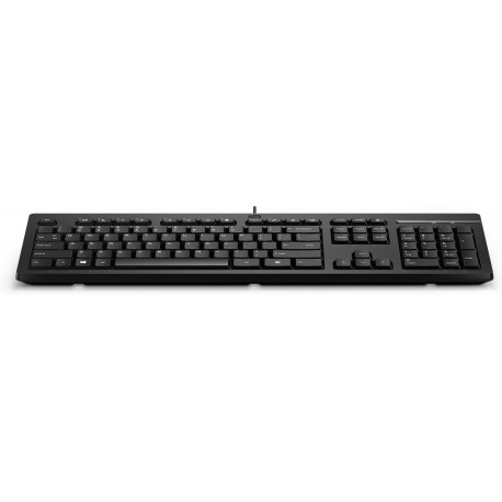 HP Teclado Com Fios 125 USB, Interruptor de membrana, Preto - 0195161008030