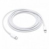 APPLE USB-C To Lightning Cable 2 m - 0190198496201