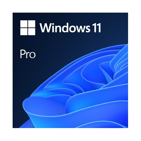 Win 11 Pro 64Bit Eng Intl 1pk DSP OEI DVD - 0889842905892