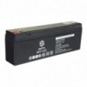 Oem BATT-1222 Bateria recarregavel Tecnologia chumbo acido AGM - 8435325456317