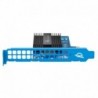 OWC PCIe Accelsior 1M2 NVme SSD 1TB - 0810586036641