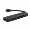 Hub COOLBOX MiniDOCK USB-C Lite 2 - 8436556142284