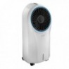 CLIMATIZADOR EVAPORATIVO DELONGHI - EV250WH - 8004399240155