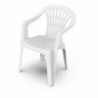 PROGARDEN Lyra Cadeira Empilhável com Encosto Baixo 56x54x80 cm Branco - 8009271006508