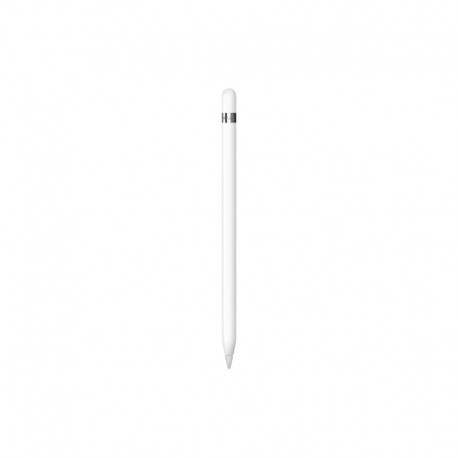 APPLE Pencil 1st Generation W/ Adapter - MQLY3ZM/A - 0194253687986
