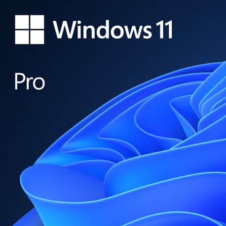 Win 11 Pro GGK 64Bit Portuguese 1pk DSP ORT OEI DVD