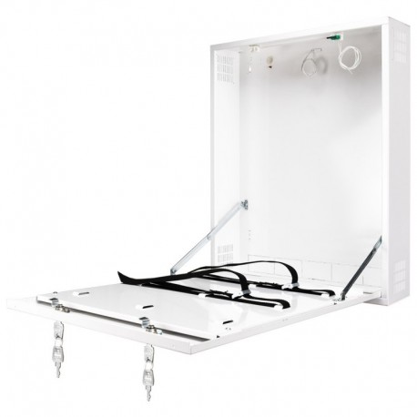 Oem RACK-DVRBOX-MVERTICAL Caja de seguridad Especial para instalacion en pared - 5901643197605