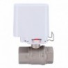 Ajax AJ-WATERSTOP-1-W Valvula solenoide de fecho da agua Valvula Bonomi de 1" (DN 25)) - 4823114030963