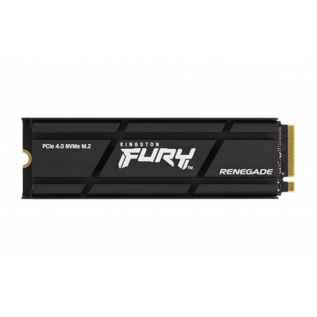 Kingston Technology FURY Renegade SSD M.2 PCIe 4.0 NVMe 4TB com Dissipador - 0740617331103