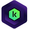 Software Kaspersky Premium 5 Dispositivos NoCD PT - 5056244916480